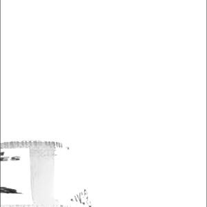 Meet your Posher, Alaura